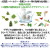 忌避剤 デサピア  植物成分　有機JAS認定　安全性が高い