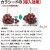 カラシード分包   保鮮 鮮度保持 抗菌剤 防カビ剤 フードロス 長持ち　RF　RJ　RO　RT　虎変堂