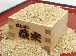 令和7年産】プレミアムつや姫 玄米 5kg 微生物農法 特別栽培米 富士屋