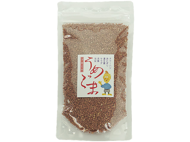南高梅専門店の白ごまに梅肉をあえた紀州梅ごま130g 南高梅専門店の白ごまに梅肉をあえた紀州梅ごま130g