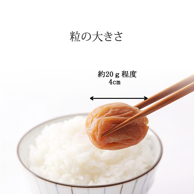 【昆布漬け梅干し】創業1940年、南高梅干し専門店、深見梅店が贈る!塩分5%~8%の昆布(こんぶ)梅干し!350g【ギフト包装あり】