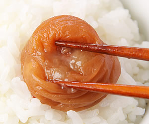 訳あり数量限定　はぶたえ梅つぶれ梅干し　700ｇ