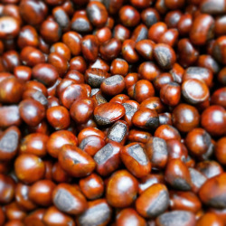 ふくようの店頭焼き甘栗 (800g)