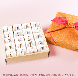 紀州の梅 「個包装」 木箱入り20粒