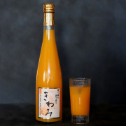みかんジュース「きわみ」 500ml×1本