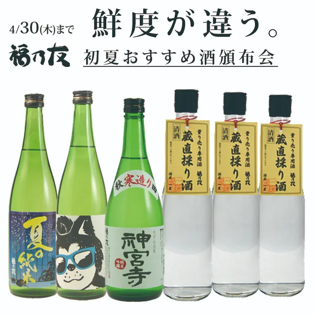 福乃友初夏おすすめ酒頒布会