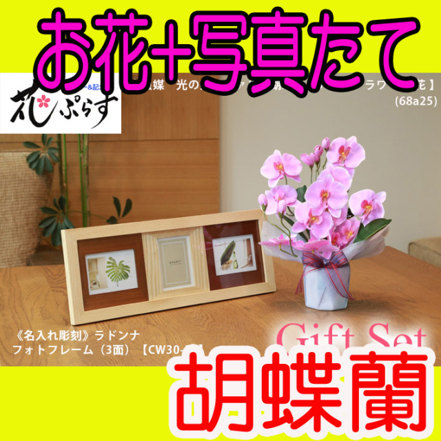 《出産祝い》花ぷらす《ウッドフォトフレーム(3面)》ファレノ胡蝶蘭68a25-cw30-30ギフトセット（フレーム名入れ彫刻）
