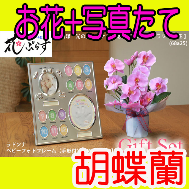 《出産祝い》花ぷらす《ベビーフォトフレーム(手形付き)》ファレノ胡蝶蘭68a25-mb21-140ギフトセット