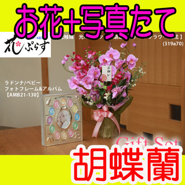 《誕生祝い》花ぷらす《ベビーフォトフレーム＆アルバム》ツイン胡蝶蘭319a70-amb21-130ギフトセット