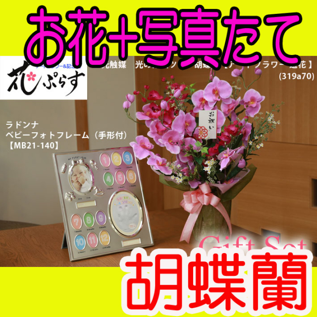 《誕生祝い》花ぷらす《ベビーフォトフレーム(手形付き)》ツイン胡蝶蘭319a70-mb21-140ギフトセット