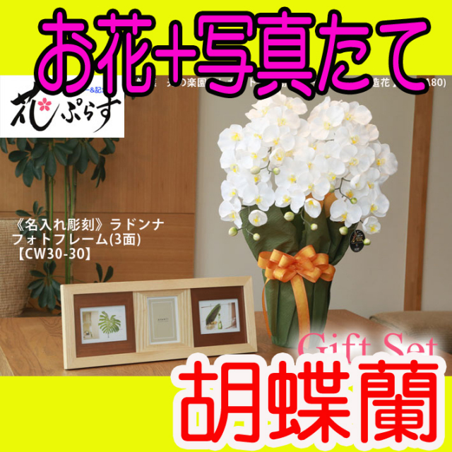 《出産祝い》花ぷらす《ウッドフォトフレーム(3面)》エレガント胡蝶蘭452A80-cw30-30ギフトセット（フレーム名入れ彫刻）