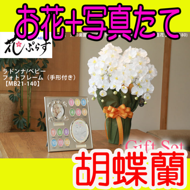《出産祝い》花ぷらす《ベビーフォトフレーム(手形付き)》エレガント胡蝶蘭452A80-mb21-140ギフトセット
