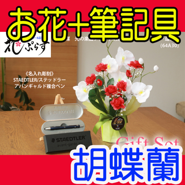 《退職祝い》花ぷらす《STAEDTLER複合ペン》ブライト胡蝶蘭【ペン名入れ彫刻】64A30-avantgardeギフトセット