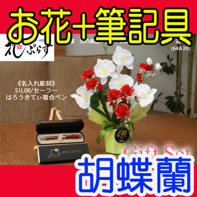 《退職記念品》花ぷらす《SILORハローキティ複合ペン》ブライト胡蝶蘭【ペン名入れ彫刻】64A30-kittyギフトセット