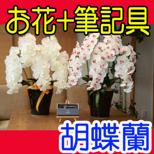 花ぷらす《PARKER,IMボールペン》プレミアム胡蝶蘭5本【ペン名入れ彫刻】651-3A180-parkerimctギフトセット