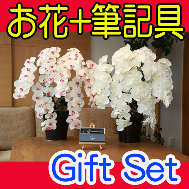 花ぷらす《PARKER,IMボールペン》プレミアム胡蝶蘭7本立て【ペン名入れ彫刻】657-8a250-parkerimctギフトセット