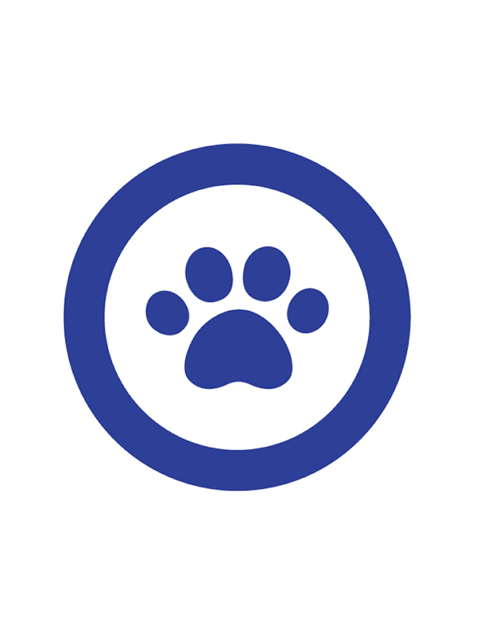 たてにゃんお猪口（中） 肉球