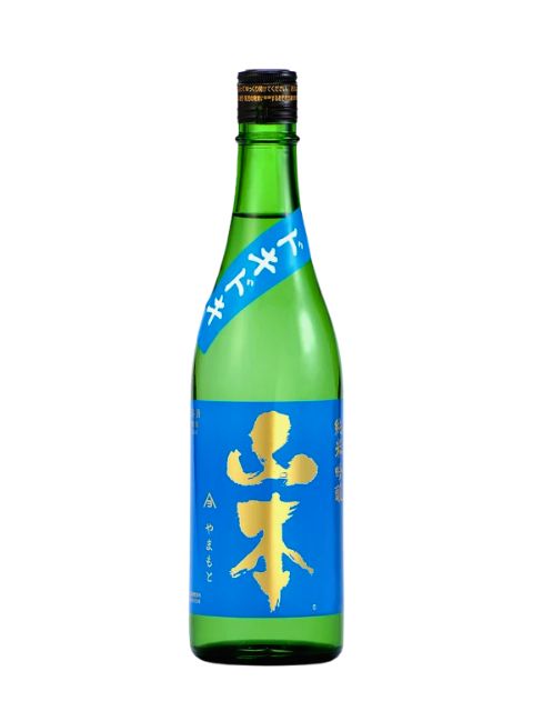 山本　ドキドキ　2026年