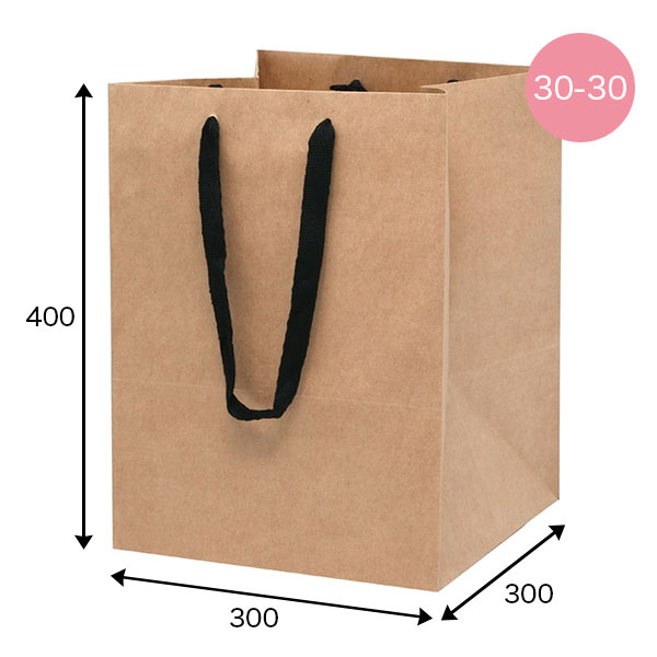 手提げ紙袋 フルールバッグ 30-30 未晒無地 10枚 袋の王国 本店