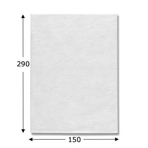 Nノンパピエバッグ（不織布袋）40-50 白