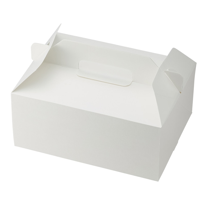 スリムエコキャリーケーキ箱　18x24