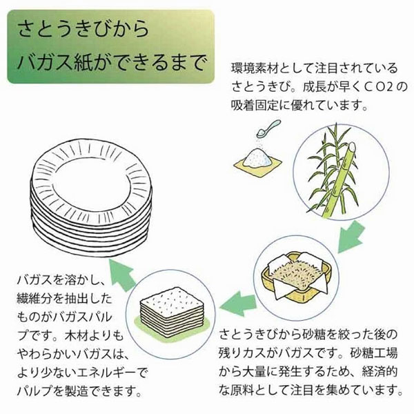 バガス紙ができるまで