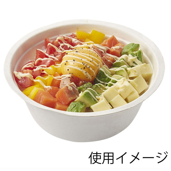 バガスどんぶり 使用イメージ