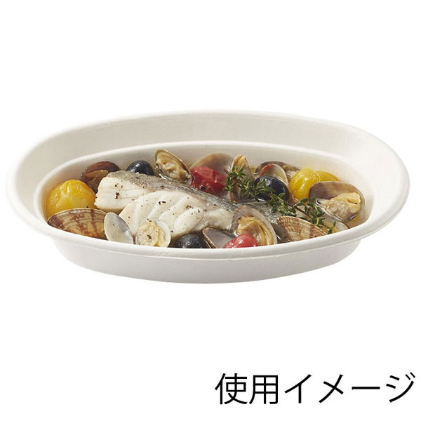 バガスカレー皿Ｃ NCP230 使用イメージ