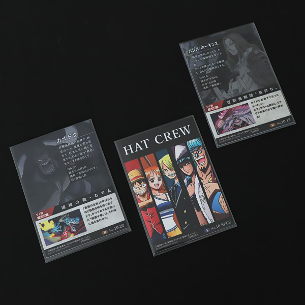 S6.1-8.8（トレカ用スモール）使用例