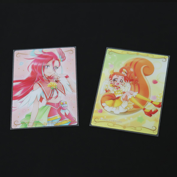 S6.1-8.8（トレカ用スモール）使用例