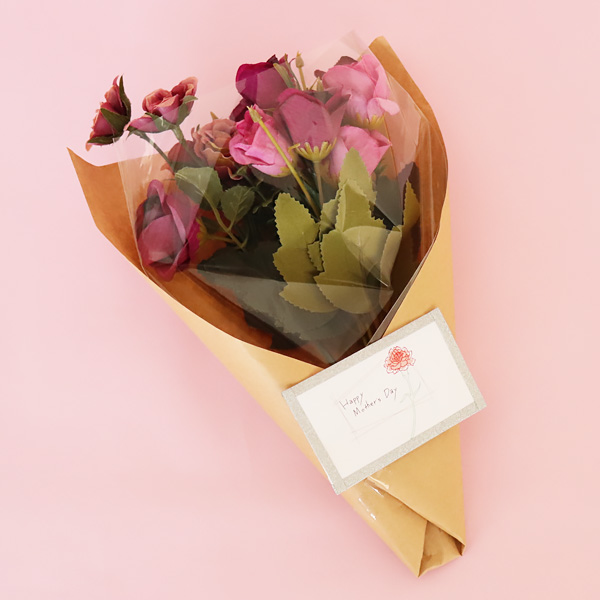 OPP袋 テープなし S20-30 使用例