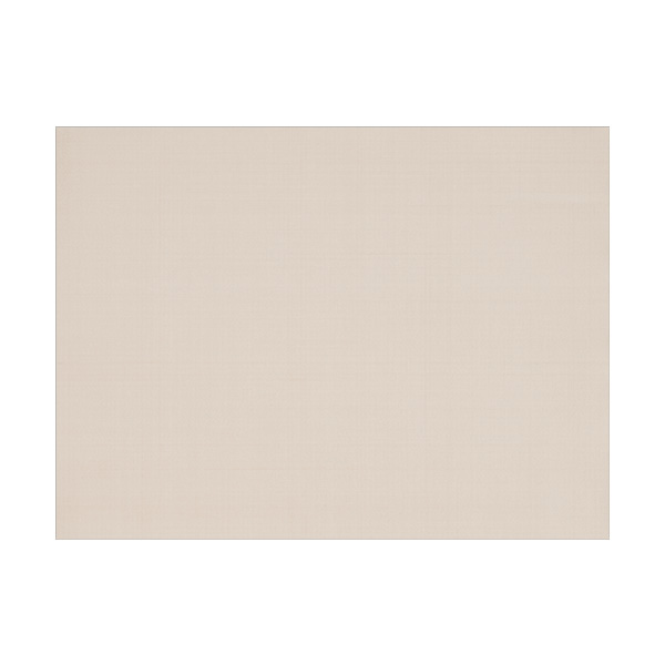 フッ素樹脂絶縁シート NPT-303P/S