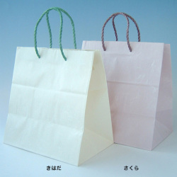 アートバッグ_集合雲竜