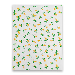 オーピーパック ミモザ