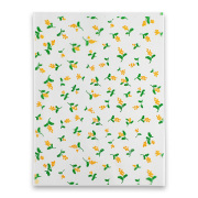 オーピーパック ミモザ