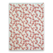 オーピーパック さくら