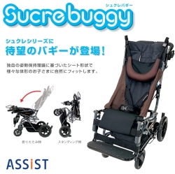 シュクレバギー（障害児用バギー）【福祉発明品ショップスマイル店】