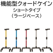 機能型クォードケイン ショートタイプ（ラージベース）
