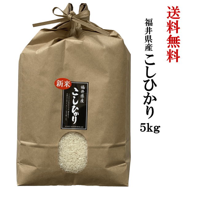 福井県産こしひかり5kg　送料無料　令和6年度産　コシヒカリ　