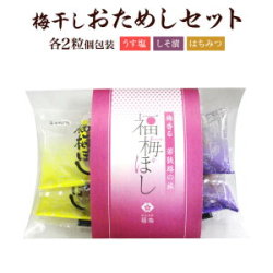 プチギフト・梅干し　個包装6粒入（うす塩味・しそ漬・はちみつ）各２粒　お土産、結婚式、粗品、挨拶、