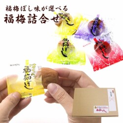 プチギフト　送料無料 福梅ぼし味が選べる御歳暮詰合せ