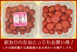 【規格外】梅干し　無添加しそ漬福梅ぼし500g　昔ながら/福井県産/訳あり/酸っぱい/添加物不使用/