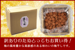 【規格外】梅干し　うす塩味福梅ぼし5kg　さっぱりした口当り/福井県産/訳あり/減塩/