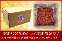 【規格外】梅干し　無添加しそ漬福梅ぼし5kg　昔ながら/福井県産/訳あり/酸っぱい/添加物不使用/