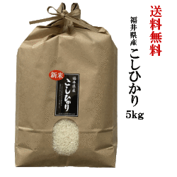 福井県産こしひかり5kg　送料無料　令和6年度産　コシヒカリ　