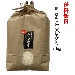 　福井県産こしひかり5kg　送料無料