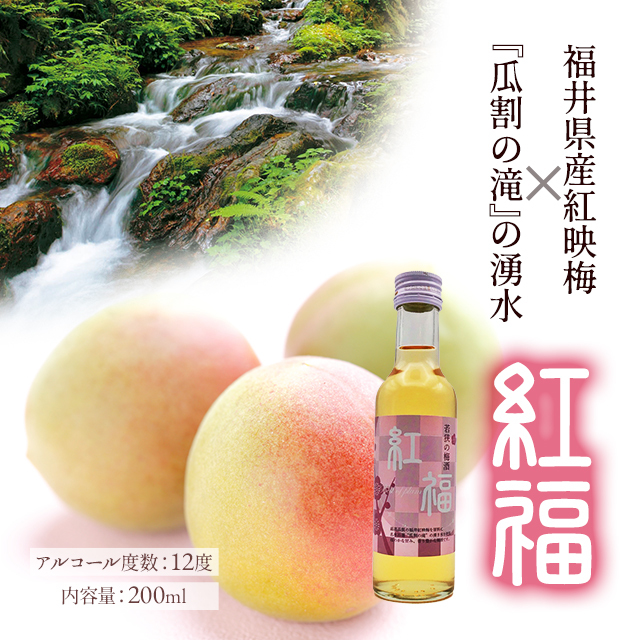 紅福 梅酒200ml