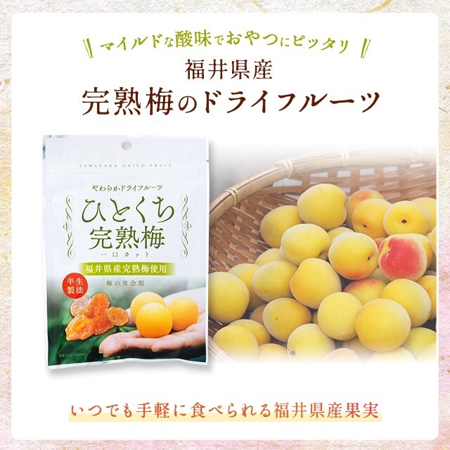 【限定セール】完熟　ひとくち　いちじく　ドライフルーツ トルコ産完熟ひとくちいちじく≪167g≫の通販｜ドライフルーツ