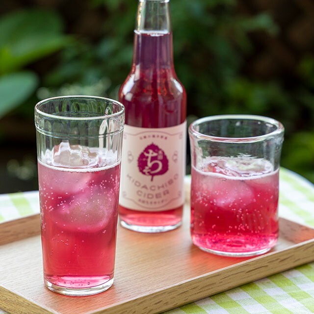 木田ちそサイダー 250g