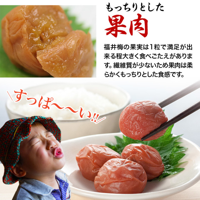 福井県産紅映梅使用 新調味料 梅ごしょう 50g